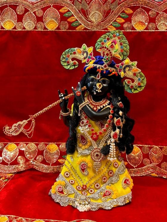Krishna Ji Shringar Murti